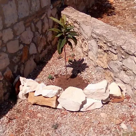 Pezoula Plaka